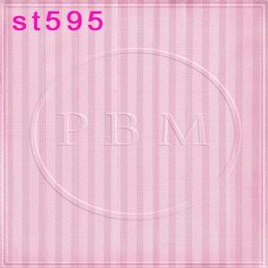 5'x8' ST595